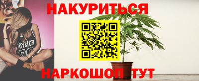 эйфоретик Малгобек