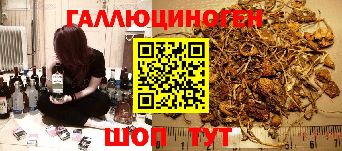 Псилоцибиновые грибы GOLDEN TEACHER  Вход с VPN  Губаха 