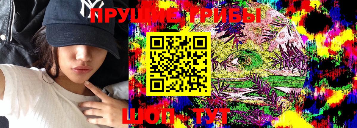Псилоцибиновые грибы Psilocybine cubensis Губаха